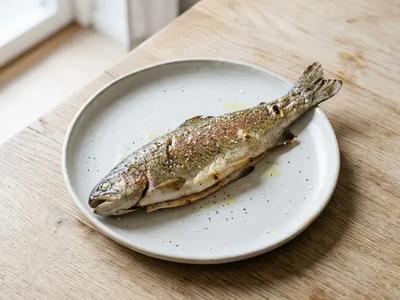 Trout