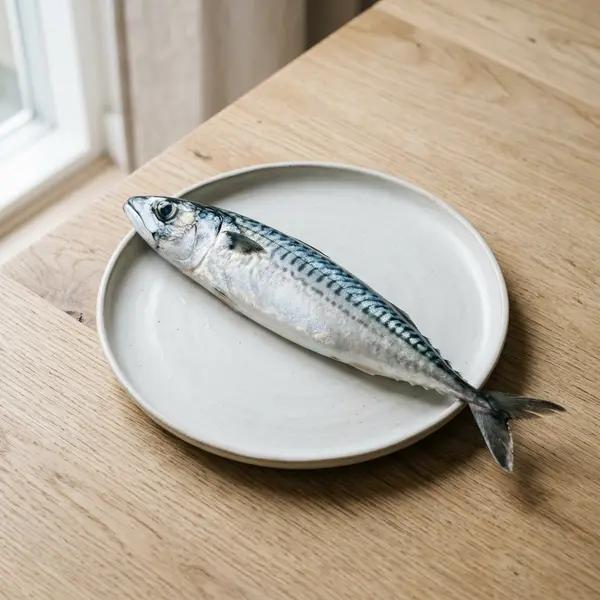 Mackerel