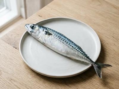 Mackerel