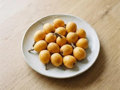 Loquat