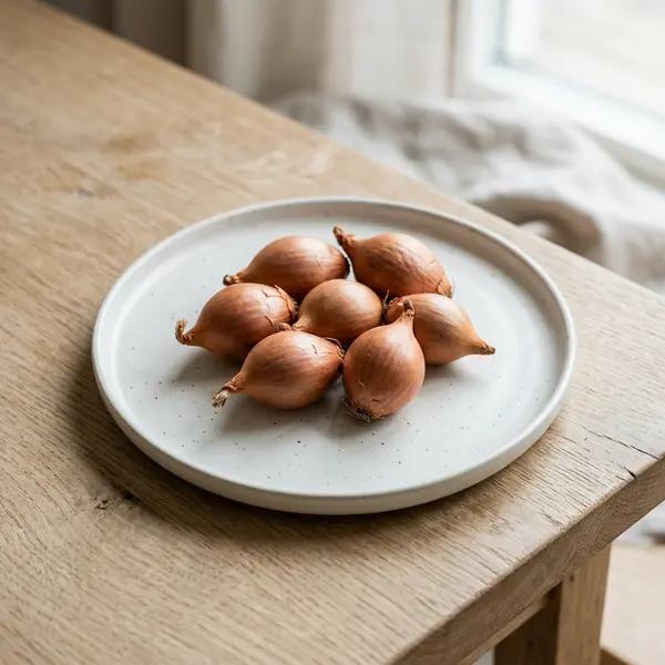 Shallot