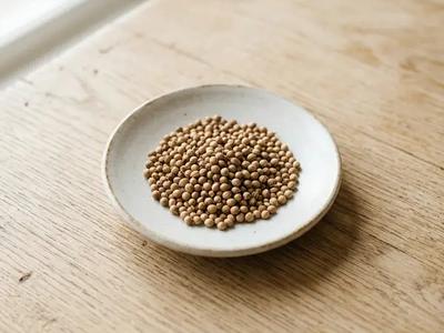 Coriander