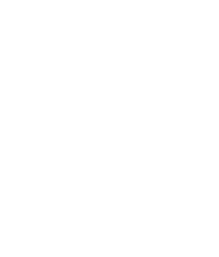 Levice