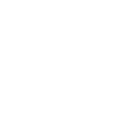 VŠZaSP sv. Alžbety