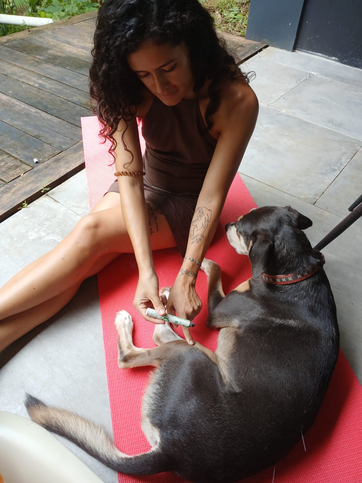 Acu & Moxa for our furry friends 