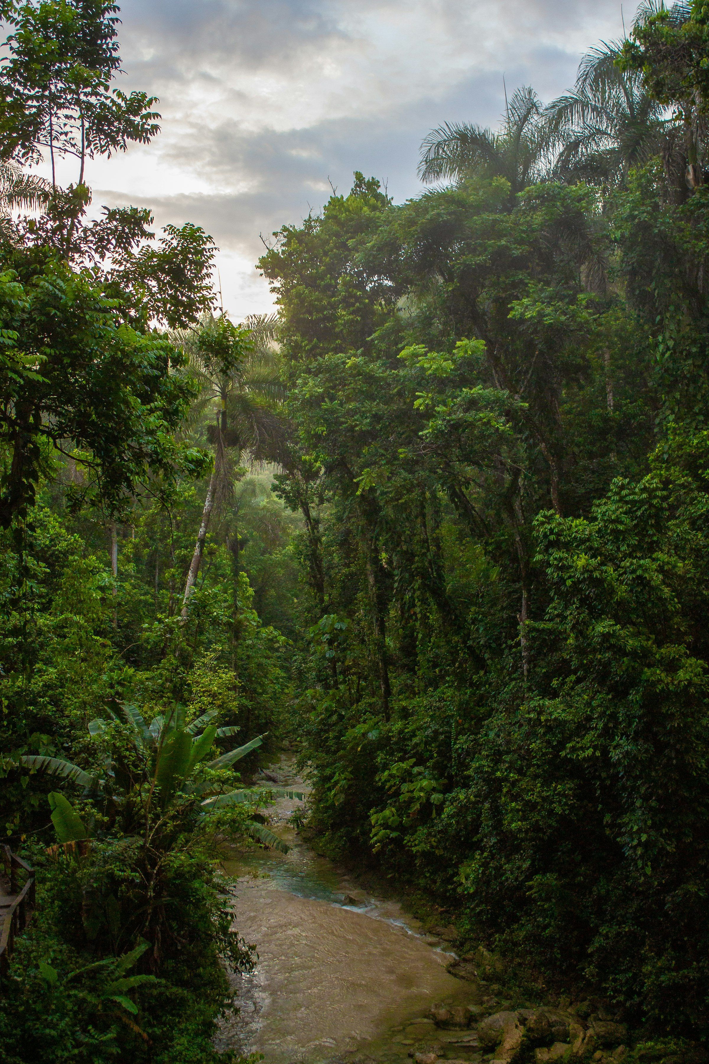 Hot spring cascades in the Costa Rican rainforest