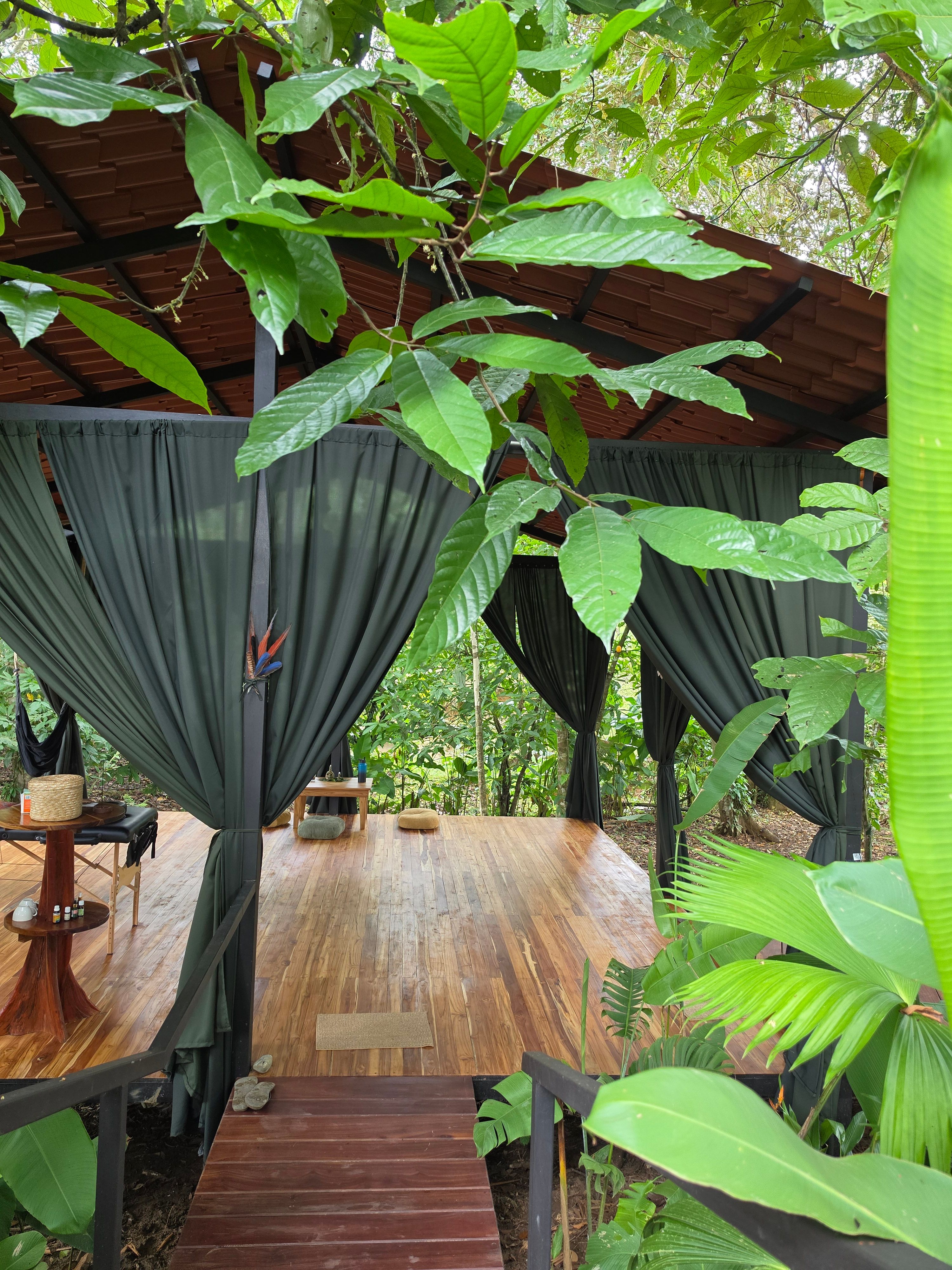 Studio surrounded by trees
