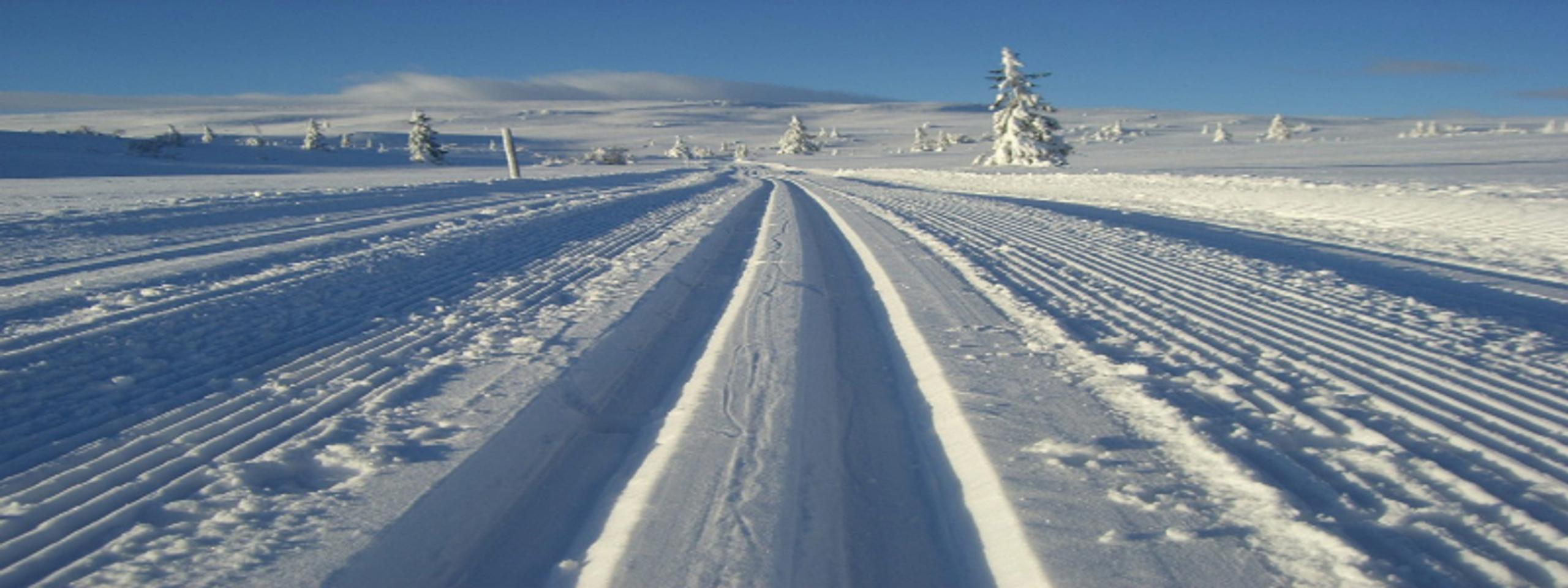 Skiløype