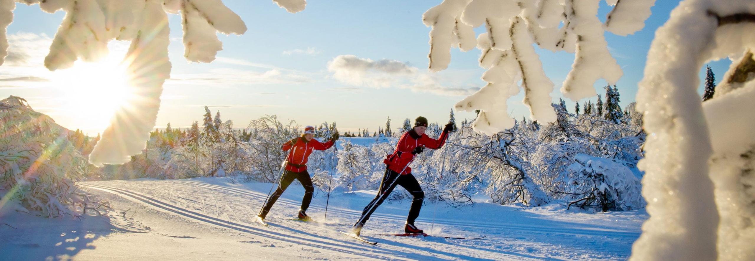 Ski
