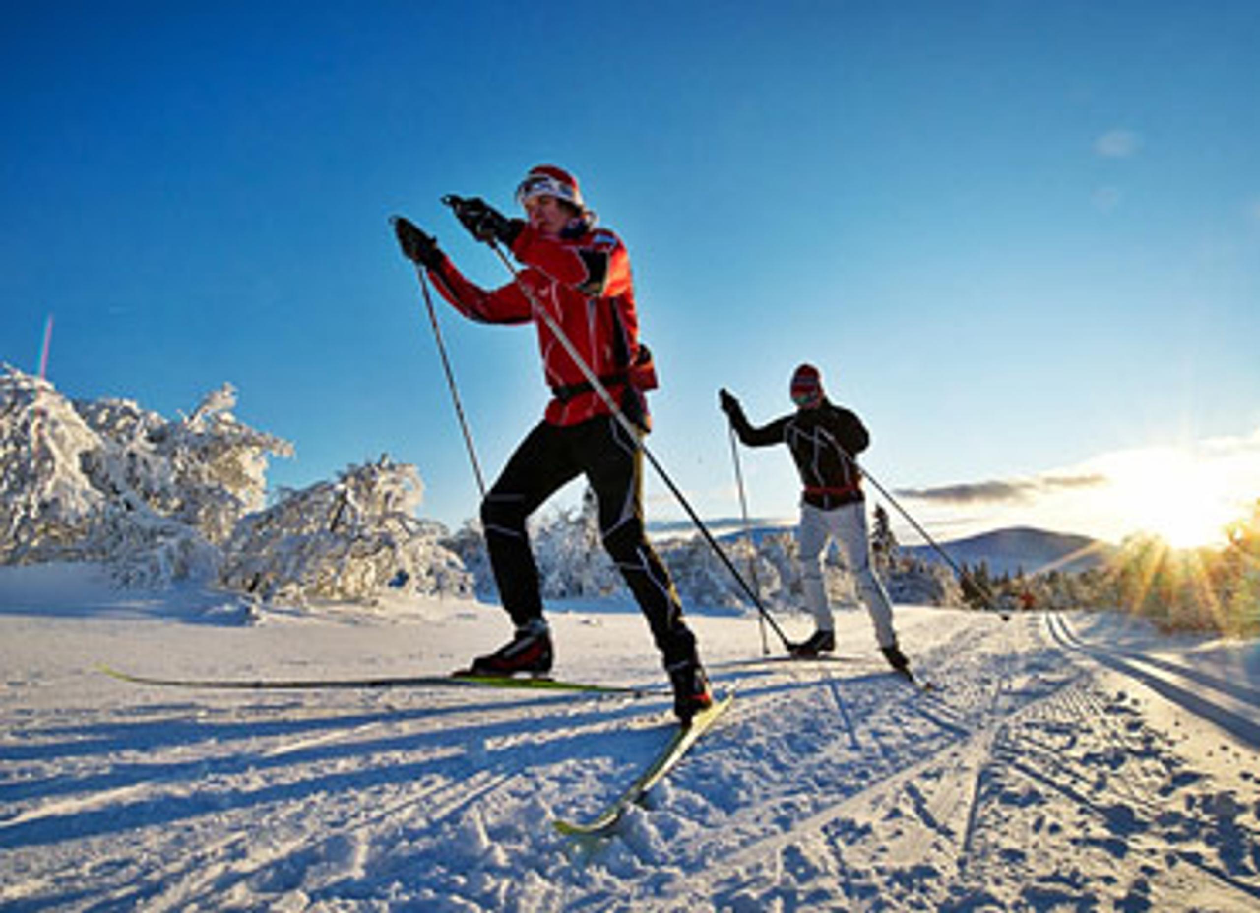 Ski