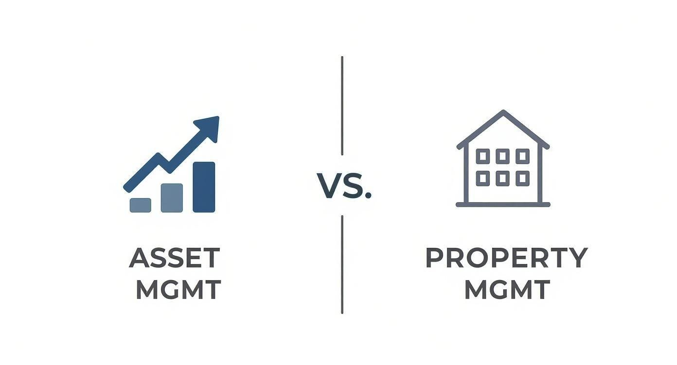 An infographic comparing Asset Management with a growth chart icon and Property Management with a house icon.