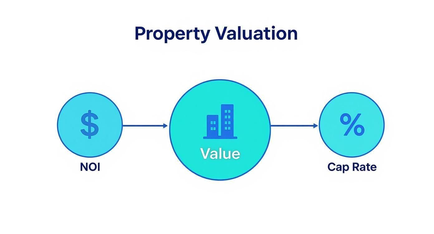 Infographic about noi in real estate