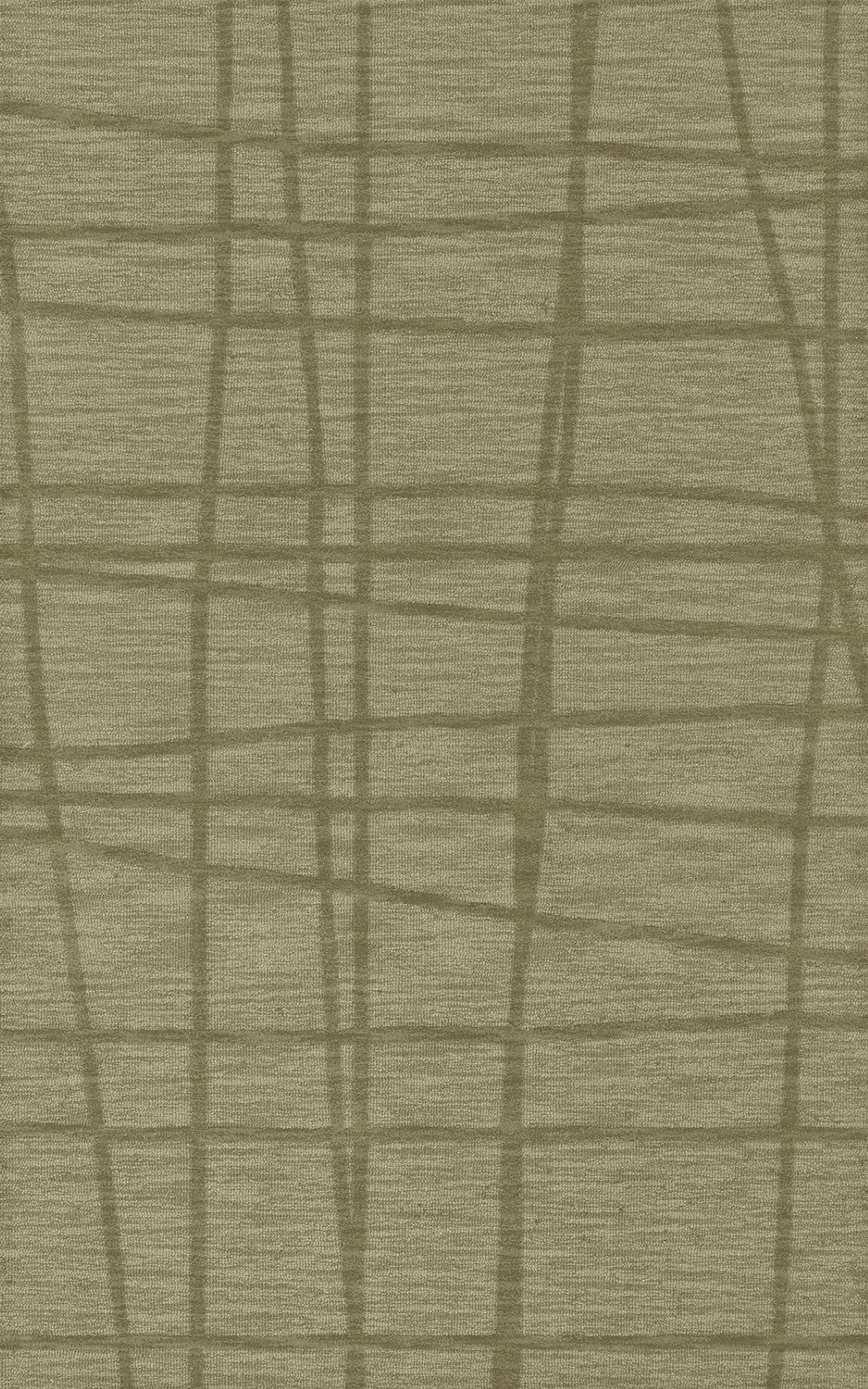 Matrix Olive