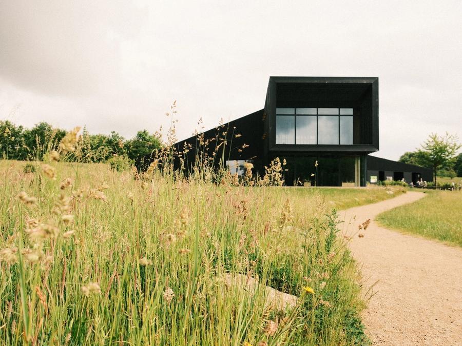 Naturcenter Hindagavl i baggrunden. Naturcenteret er omringet af vildnatur