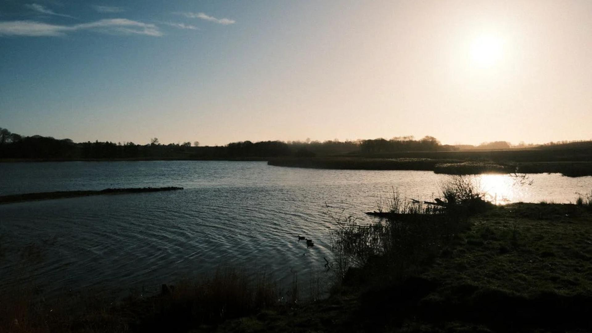 Dagslys falder ind gennem hoeje vinduer i moedelokale med udsigt til traeer