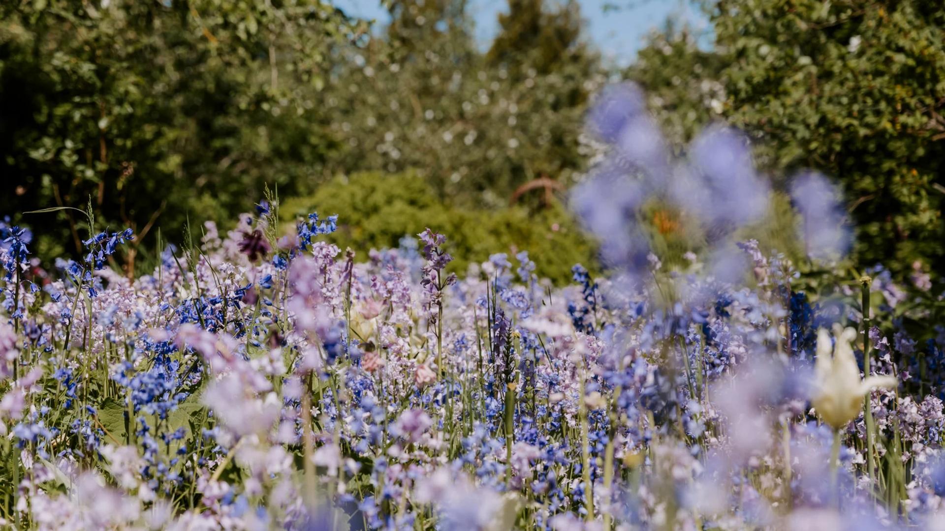 Stole opstillet i cirkel i lyst rum med traevaegge og store vinduer