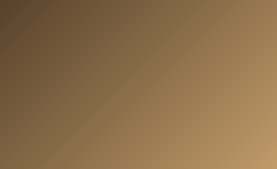 A 7-Course Journey with Precision and Warmth