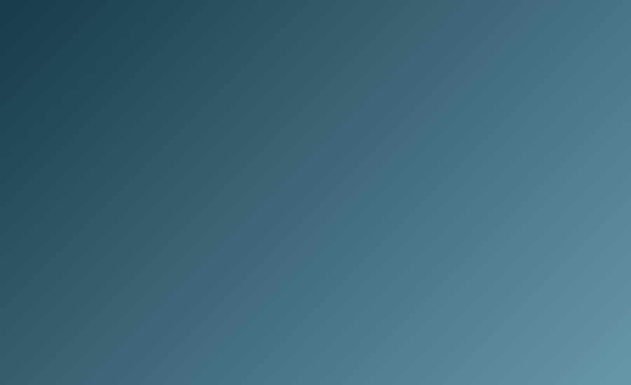 Inside the Restaurant's Minimalist Dining Room