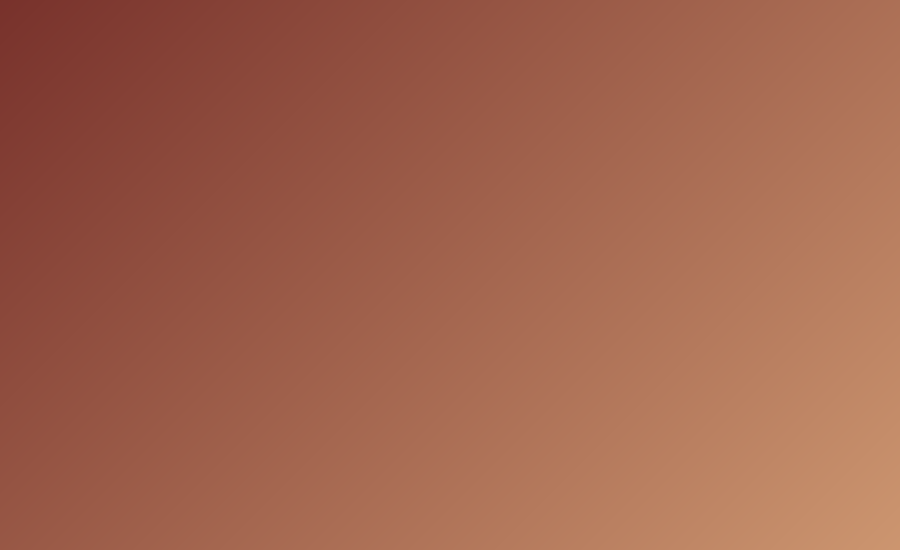 Chef Elara on the New Coastal Tasting Menu