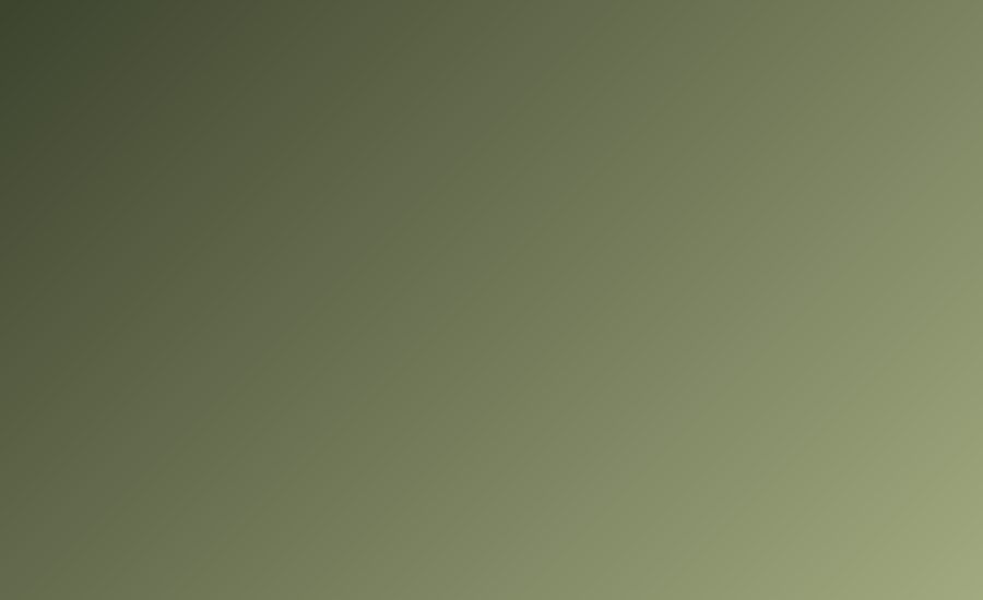 A Smartly Built Wine List for Curious Guests