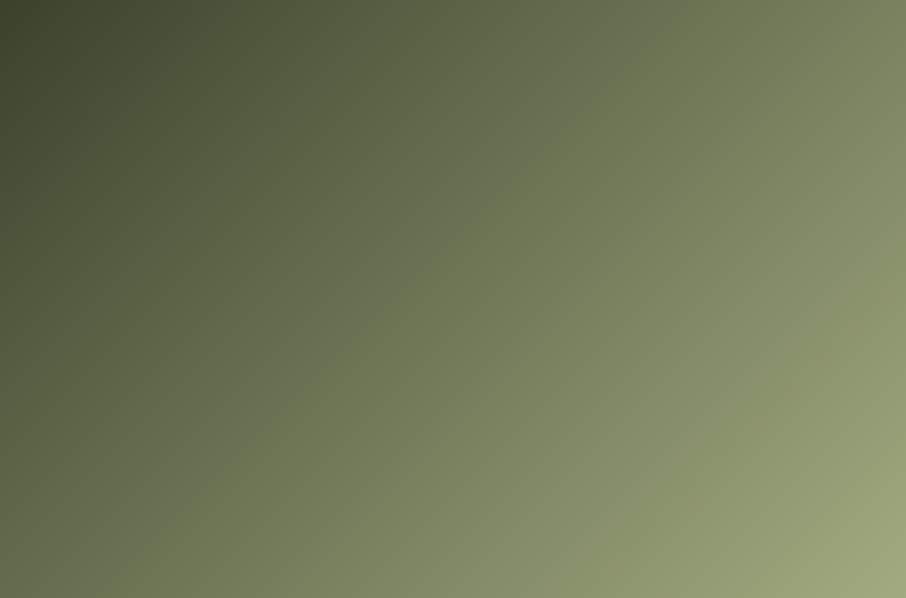 New Year's Eve Suppers