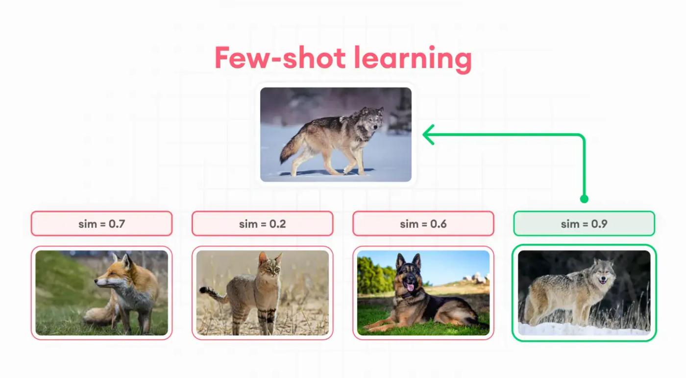 few shot learning