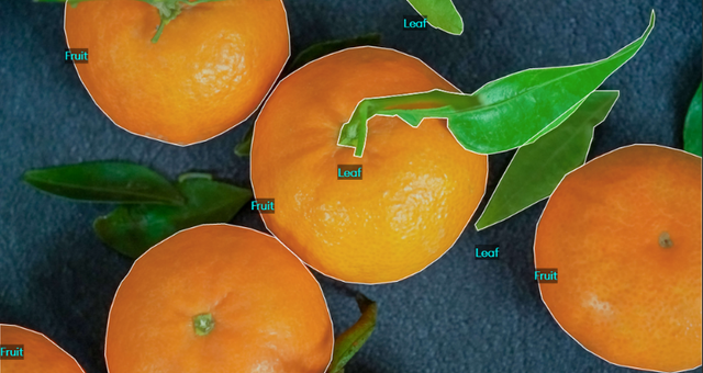 image annotation in machine learning