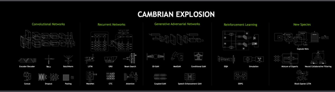 cambrian explosion