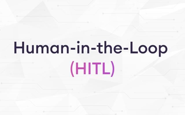 human in the loop hitl