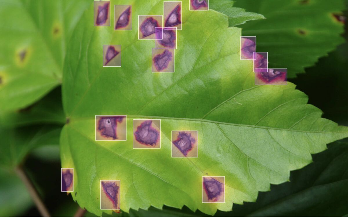 agriculture technology
