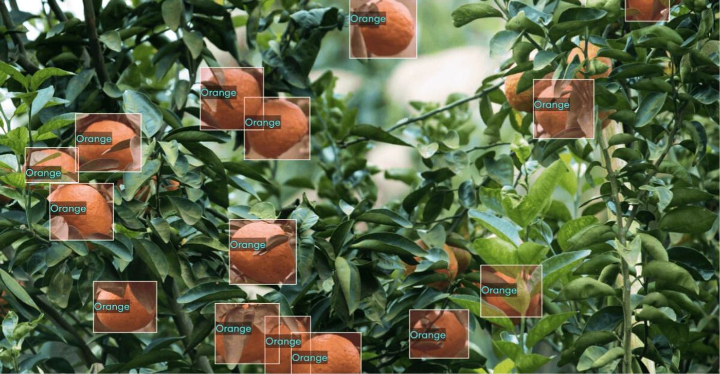 detecting oranges