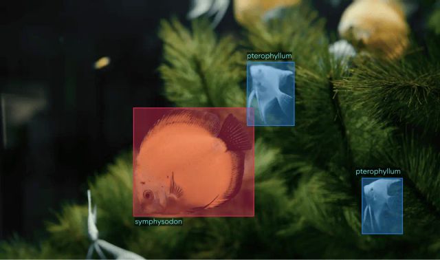 object detection with deep learning