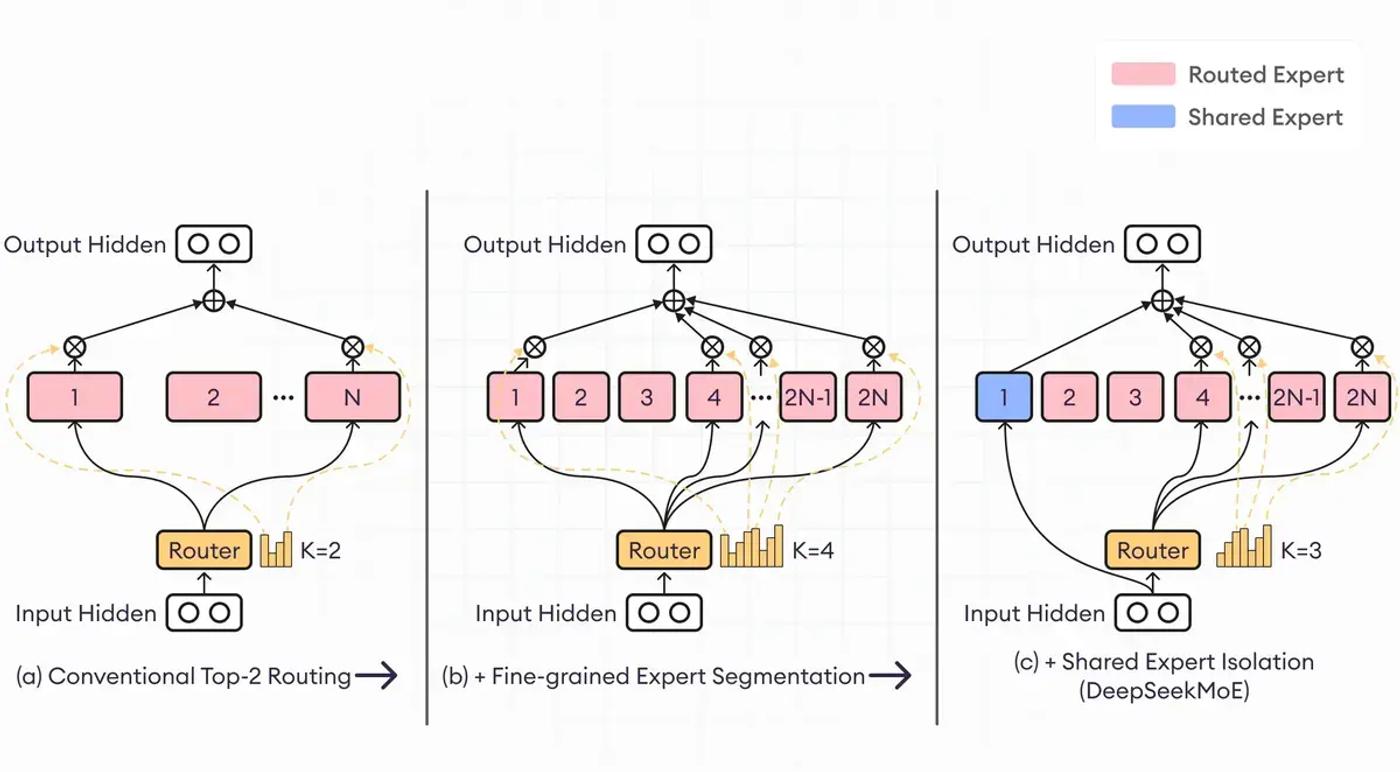 routed and shared expert