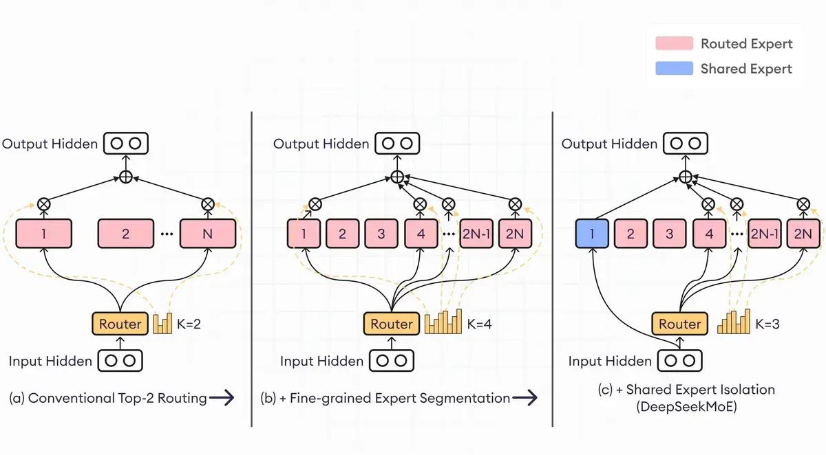 routed and shared expert