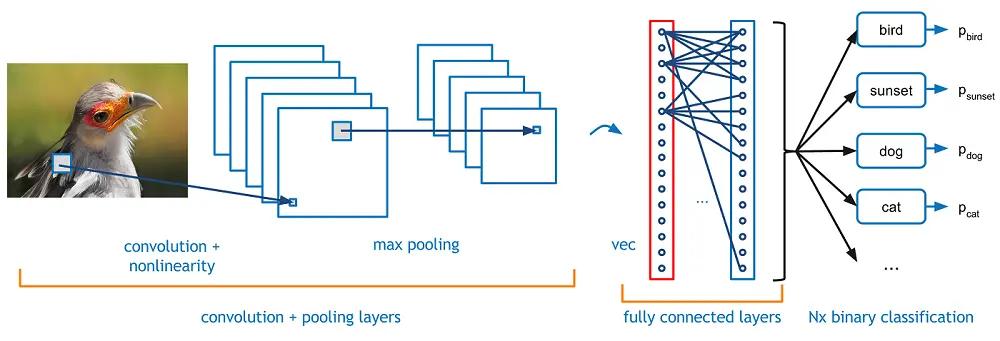 image classification