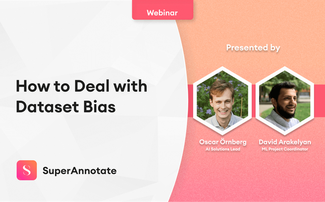how to deal with dataset bias