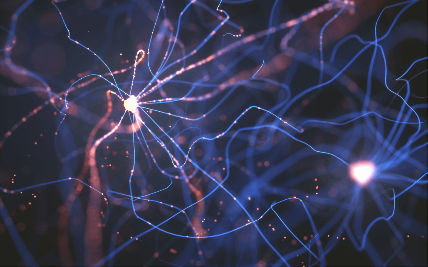 guide to neural networks and deep learning