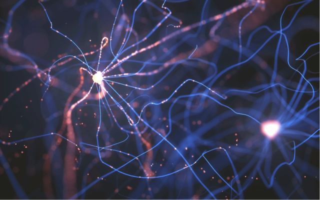 guide to neural networks and deep learning