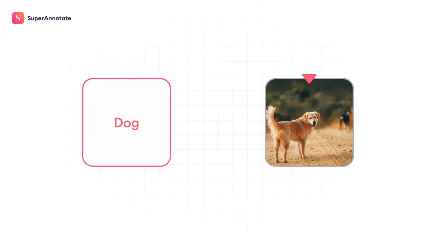 dog image