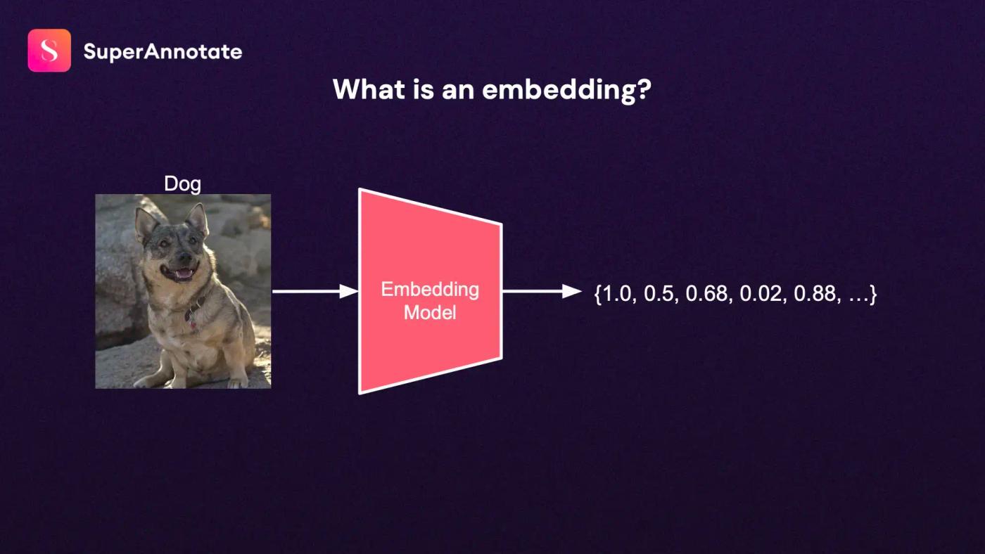 embedding machine learning