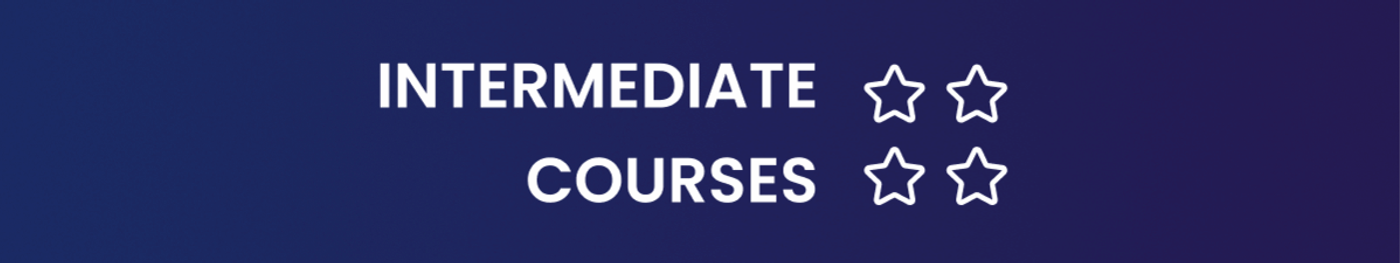 intermediate level computer vision courses