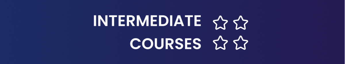 intermediate level computer vision courses