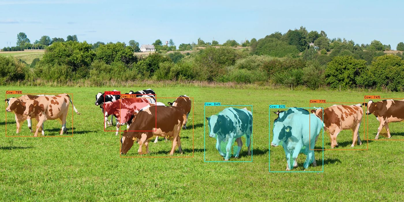 onecup livestock