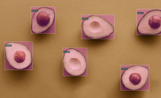 bounding box annotation