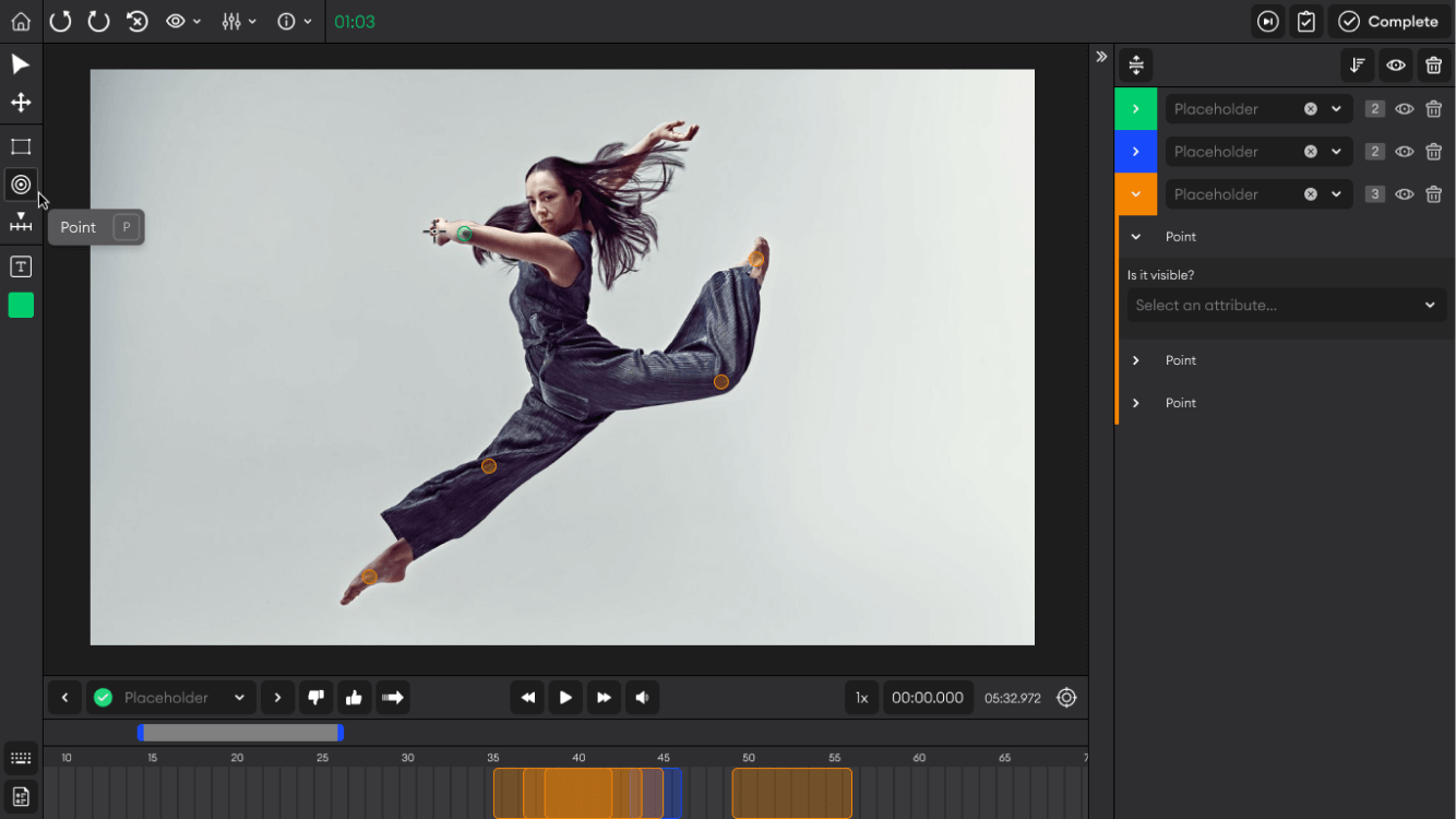 point tool in the video editor