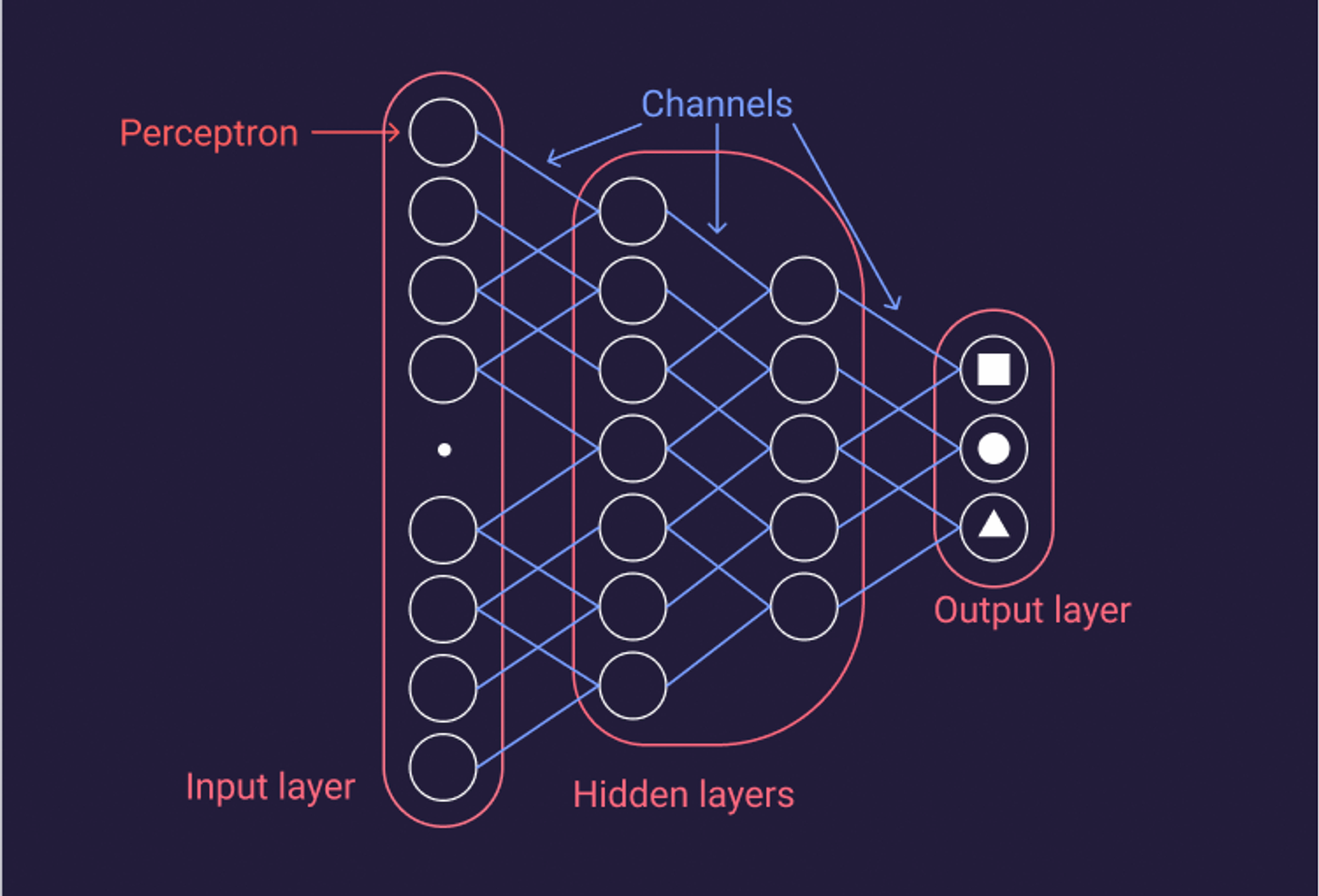 structure of a neural network