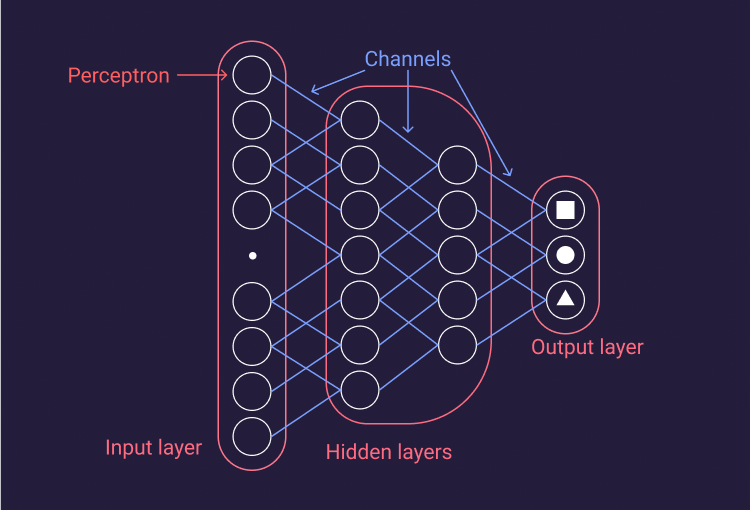 structure of a neural network