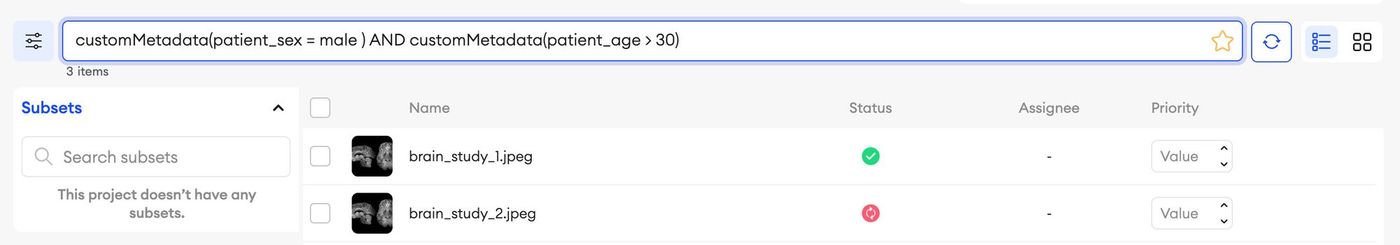 custom metadata