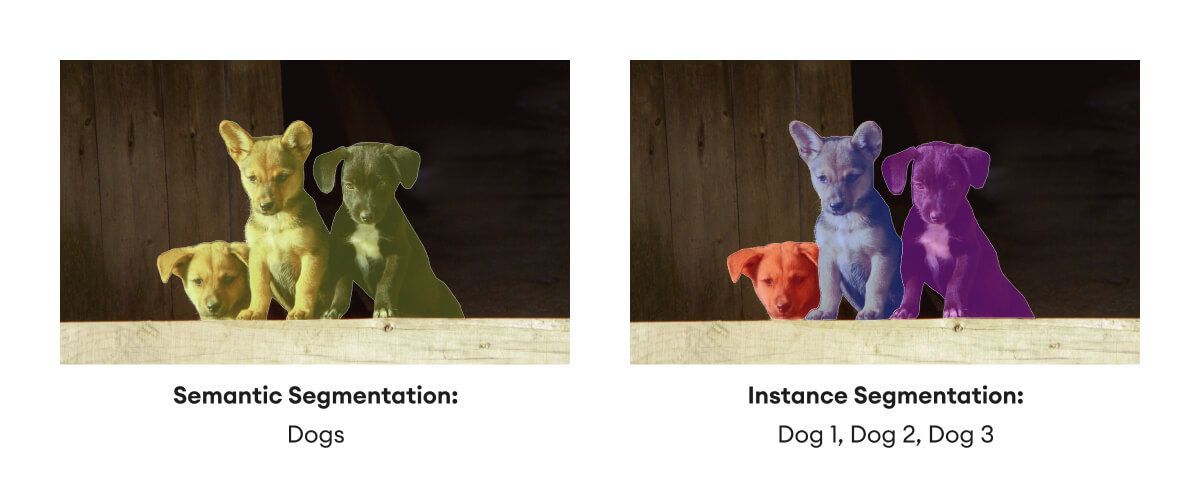 semantic vs instance segmentation