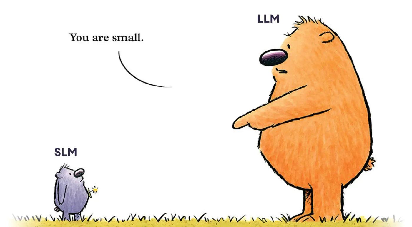 llm slm